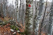 Monti Foldone e Sornadello ad anello sul sent. 595 dalla Forcella di Bura il 4 nov. 2018-FOTOGALLERY